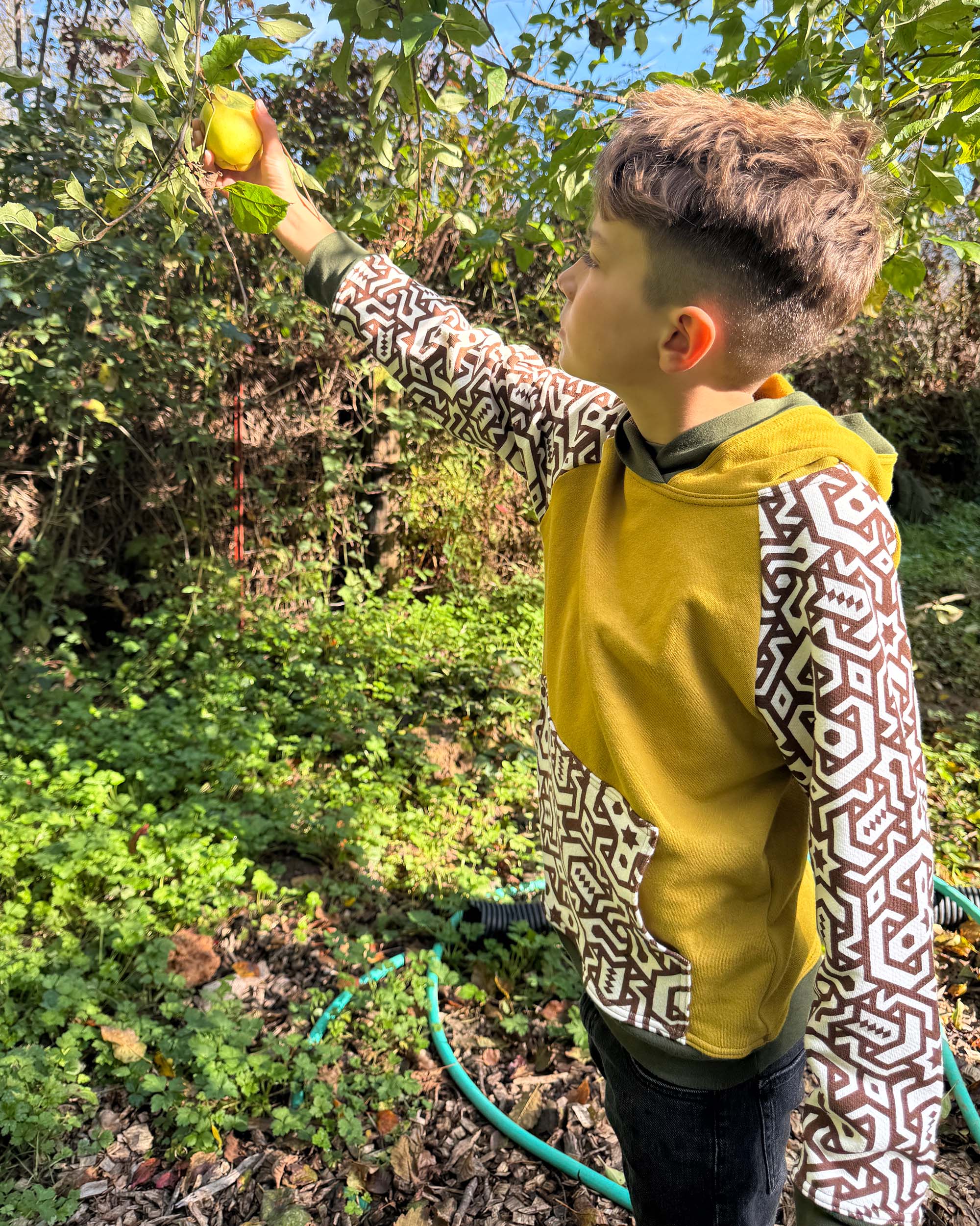 Boy picking an apple wearing a yellow with brown geometric printed sleeves hoodie.